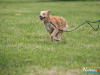 1200img_4608