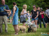 1203img_4625