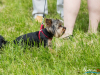 1204img_4628