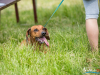 1204img_4632