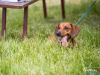 1205img_4633