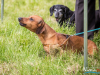 1206img_4641