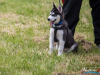1207img_4642