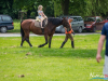 1209img_4653