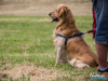 1210img_4660