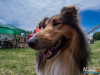 1228img_4705