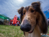 1228img_4706