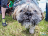 1228img_4725