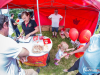 1231img_4729