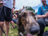 1231img_4744