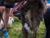 1231img_4747