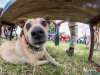 1233img_4770