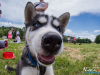 1233img_4775