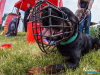 1233img_4779