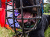 1233img_4783