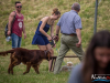 1238img_4817
