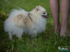 1246img_4834