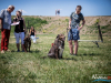 1223_img_0010_wynik
