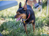 1233_img_0077_wynik