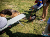 1233_img_0081_wynik