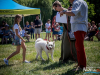 1235_img_0089_wynik