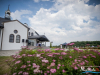 1419img_8590