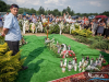 1555img_8654