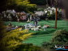 1556img_2789