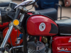 1350img_8496