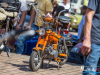 1352img_8503