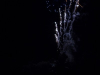 2324img_6907_06_06_2016