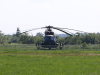 3m5a5029nnnnnnnnnn_wynik