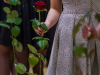 1900img_5052