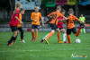 1156IMG_3382