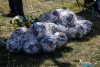1425IMG_3993