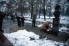 IMG_81621616