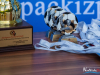 1652img_0341