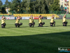 1655img_8171