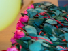 1405_img_8946