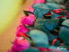1405_img_8947