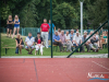 1854img_8544
