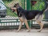1722img_6586