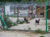 1737img_6625