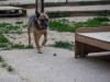 1744img_5611