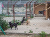 1747img_5618