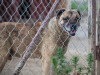 1752img_6677