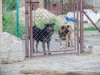1754img_6689