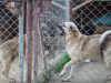 1755img_6698