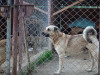 1755img_6700
