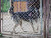 1755img_6703
